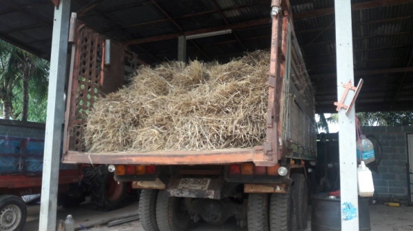 ขายตามสภาพ 10ล้อ Ho 7C 185 เกียร์ สโลอินเตอร์