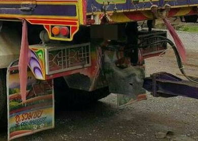 10ล้อHINO MEGA Series-500 344 ยูโร 3 ปี54 เบรคน้ำมัน พ่วงแม่+ลูกดั้มเหล็ก อู่.ศรีสวัสดิ์ฯ **ขาย HINO MEGA 344 ซีรีย์-500 22ล้อพ่วง แม่+ลูกดั้มเหล็ก สภาพพร้อมใช้งาน HINO MEGA Series-500 FM1ANLD AO9C-TH 344HP EURO-3 ปี54 เบรคน้ำมัน เ 10ล้อHINO MEGA Series-500 344 ยูโร 3 ปี54 เบรคน้ำมัน พ่วงแม่+ลูกดั้มเหล็ก อู่.ศรีสวัสดิ์ฯ **ขาย HINO MEGA 344 ซีรีย์-500 22ล้อพ่วง แม่+ลูกดั้มเหล็ก สภาพพร้อมใช้งาน HINO MEGA Series-500 FM1ANLD AO9C-TH 344HP EURO-3 ปี54 เบรคน้ำมัน เ