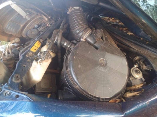 ขายซาก toyota tiger 2002 4ประตู มีเล่ม ขายซาก toyota tiger 2002 4ประตู มีเล่ม