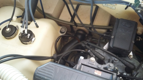 ขายปลาโอครับ