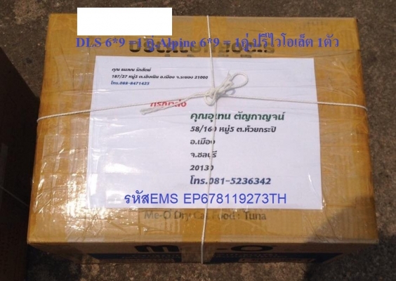 ลำโพง DLS PS6