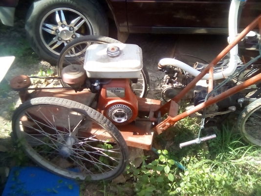 ขาย รถตัดหญ้าเดินตาม