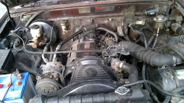 ไมตี้หัวเดียว เอาไว้ลุยงาน ไมตี้หัวเดียว เอาไว้ลุยงาน