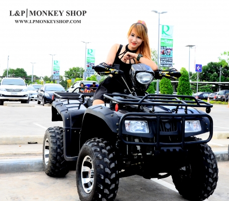 ยิ่งใหญ่ รุ่นใหม่ ขนาด ใหญ่ รุ่นใหม่ล่าสุด ATV HAMMER 250cc หม้อน้ำ