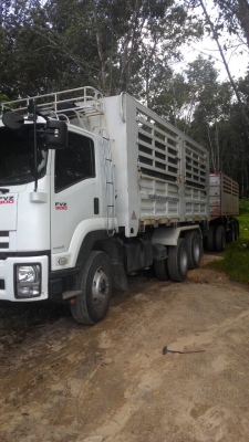 ขายครับ 10 ล้อ ISUSU # FVZ - 300 ปี2557