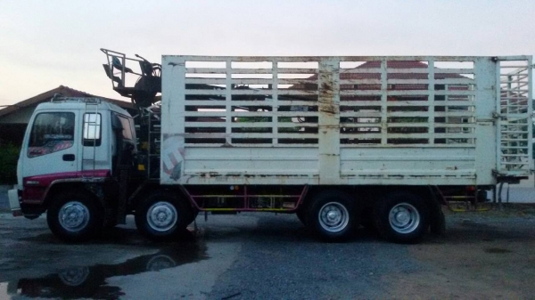 ISUZU12ล้อเครื่อง.6BG1โบว์อินเตอร์.ติดเฮี๊ยบ5ตันมีตัวขยุ้ม.สภาพสวยพร้อมใช้.ราคา.890,000. ISUZU12ล้อเครื่อง.6BG1โบว์อินเตอร์.ติดเฮี๊ยบ5ตันมีตัวขยุ้ม.สภาพสวยพร้อมใช้.ราคา.890,000.