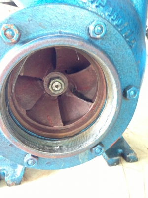 ขายปั๊มน้ำ 6" นิ้ว ขายปั๊มน้ำ 6" นิ้ว