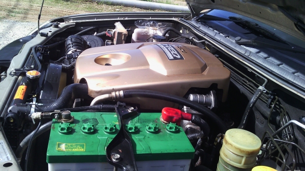 ขายดีแมกซ์  ไฮแลนเดอร์  CAB 4