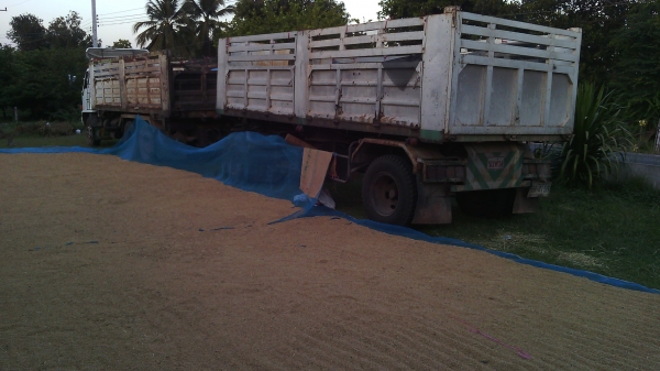 ขายลูกพ่วงดั้มพนัสสภาพดียางดี