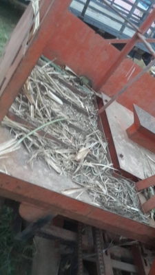 เครื่องปลูกอ้อยร่องคู่พร้อมใช้งาน