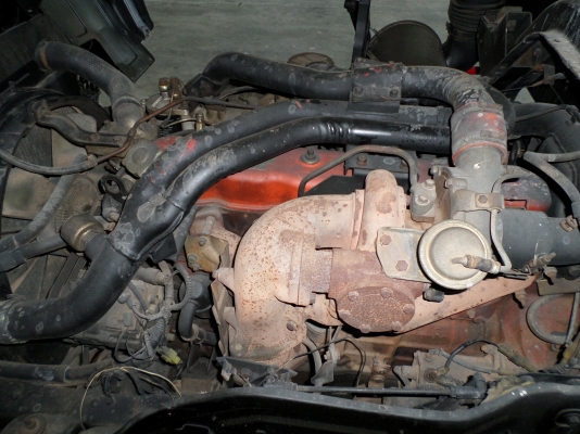 ขาย 6 ล้อ อีซูซุ ร๊อคกี้ 175 แรง ยาว 7 ม. ปี 2540 สภาพดี เครื่องแน่น คัสซีสวย พร้อมใช้งาน ชมรถก่อนได้ครับ สนใจติดต่อได้ที่ 081-9425443 081-5715326 ขาย 6 ล้อ อีซูซุ ร๊อคกี้ 175 แรง ยาว 7 ม. ปี 2540 สภาพดี เครื่องแน่น คัสซีสวย พร้อมใช้งาน ชมรถก่อนได้ครับ สนใจติดต่อได้ที่ 081-9425443 081-5715326