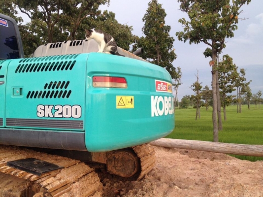 **2,200,000 บ.ต่อรอง///แบคโฮ KOBELCO MARK-8 SK200 YN12 Super 8,7xx ชม. **ขาย KOBELCO SK200 MARK-8 YN12 SUPER แบคโฮ สวยๆ ใช้งาน 8พันกว่าชั่วโมง บอดี้เดิมบาง HYD.EXCAVATOR KOBELCO MARK-8 SK200 YN12- SUPER (ซีเรียล)S/N.YN12-T2901 ไฟฟ้าเต็ม ครบทุกจุด ครับ ใช้ **2,200,000 บ.ต่อรอง///แบคโฮ KOBELCO MARK-8 SK200 YN12 Super 8,7xx ชม. **ขาย KOBELCO SK200 MARK-8 YN12 SUPER แบคโฮ สวยๆ ใช้งาน 8พันกว่าชั่วโมง บอดี้เดิมบาง HYD.EXCAVATOR KOBELCO MARK-8 SK200 YN12- SUPER (ซีเรียล)S/N.YN12-T2901 ไฟฟ้าเต็ม ครบทุกจุด ครับ ใช้