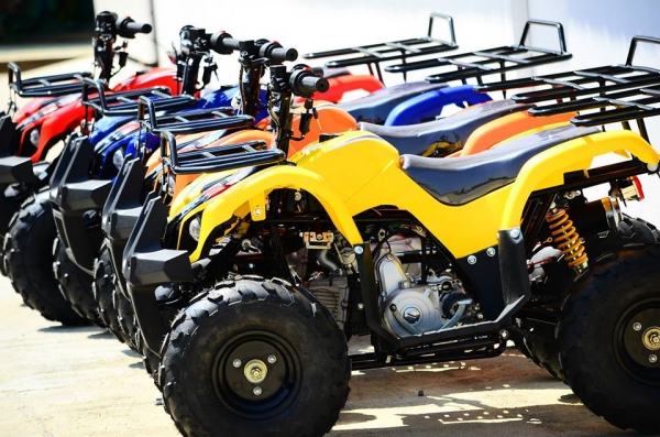 ลดราคาพิเศษ ❤ ｡◕‿◕｡**ATV mini  bear** เปลีนใหม่ ใส่เครือง 125cc โปรโมชั่นพิเศษ ลดราคาถูกมากๆๆ เริ่มต้าที่...  มีของแถม!!!รับประกัน1ปี