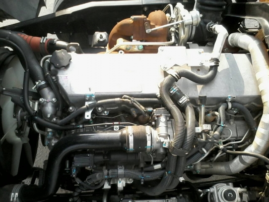 ขาย6ล้อFTR 240แรงม้ายูโร3จดปี55 ไมล์32900โลกระบะยาว7.60ม พร้อมหลังคา