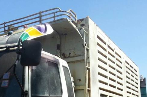 10ล้อพ่วง HINO FM2K-260 สมอเงิน แม่+ลูกดั้มเกษตร **ขาย HINO FM2K-260 สมอเงิน 18ล้อพ่วง แม่+ลูกดั้มเกษตร สภาพดี พร้อมใช้งาน HINO FM2KNLD K13D-E 260HP สมอเงิน(ปีกนก) ปี38 เครื่องเดิมเกียร์ เดิม แห้ง แน่น แรงดี ครับ ช่วงล่างเดิม แน่น 10ล้อพ่วง HINO FM2K-260 สมอเงิน แม่+ลูกดั้มเกษตร **ขาย HINO FM2K-260 สมอเงิน 18ล้อพ่วง แม่+ลูกดั้มเกษตร สภาพดี พร้อมใช้งาน HINO FM2KNLD K13D-E 260HP สมอเงิน(ปีกนก) ปี38 เครื่องเดิมเกียร์ เดิม แห้ง แน่น แรงดี ครับ ช่วงล่างเดิม แน่น