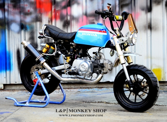 รถต้นแบบ MSX มังกี้ กอลิล่า แต่ง มี100 แบบให้เลือก