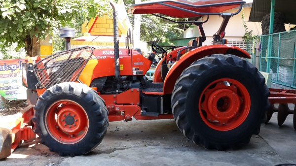 ขาย ผานช้างสวยใบเต็ม  6x26  32500