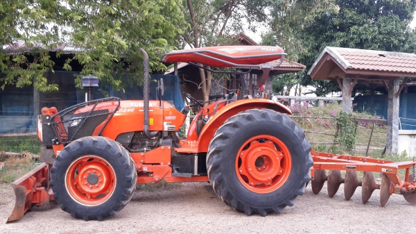 ขาย ผานช้างสวยใบเต็ม  6x26  32500