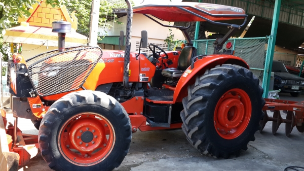 ขาย ผานช้างสวยใบเต็ม  6x26  32500