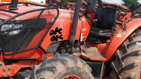 ขาย ผานช้างสวยใบเต็ม  6x26  32500