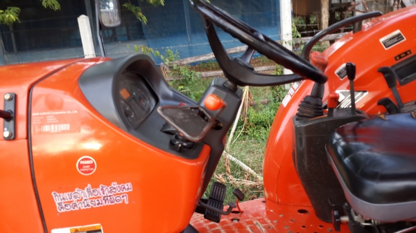 ขาย ผานช้างสวยใบเต็ม  6x26  32500