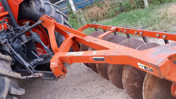 ขาย ผานช้างสวยใบเต็ม  6x26  32500