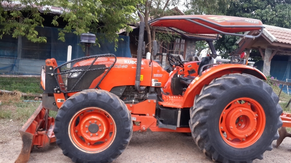 ขาย ผานช้างสวยใบเต็ม  6x26  32500