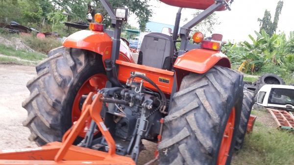 ขาย ผานช้างสวยใบเต็ม  6x26  32500