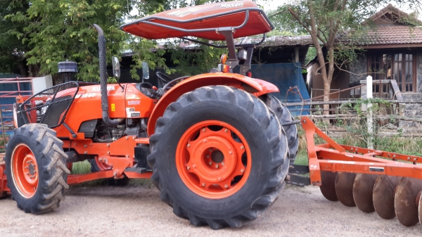 ขาย ผานช้างสวยใบเต็ม  6x26  32500