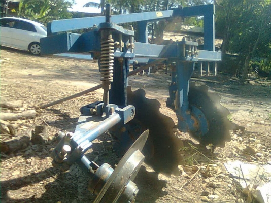 ขายหางสับใบศรีกำแพงแสน