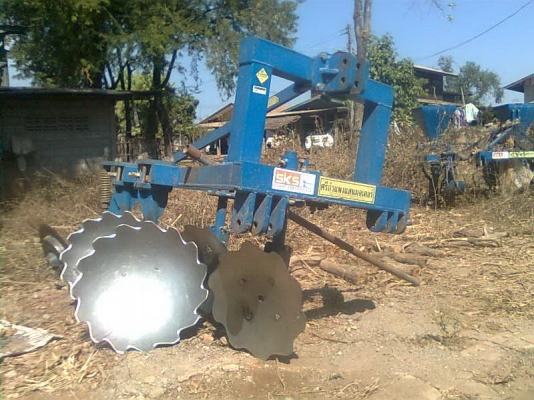 ขายหางสับใบศรีกำแพงแสน