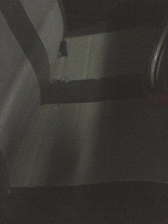 ขายรถมาสด้า 1300