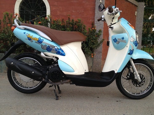 ขายjelatoสีฟ้า 2555