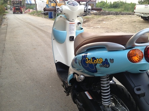 ขายjelatoสีฟ้า 2555