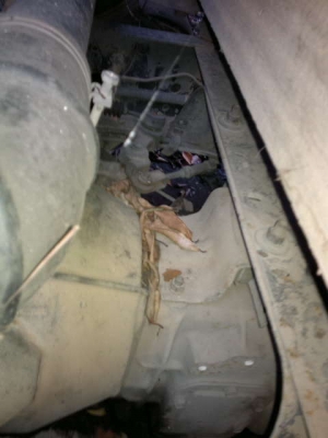 รถอิซูซุ 6 ล้อ รั่ว NKR 110 แรงม้า / 4 ล้อ NKR 88 แรงม้า  ( มีขาย 2 คัน )  สนใจติดต่อ 081 - 6079515