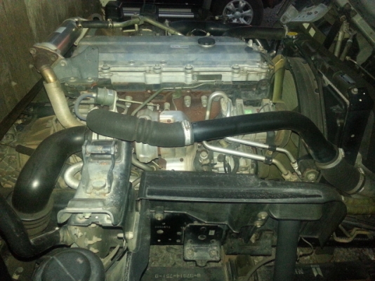 ขายด่วนหกล้อISUZU NQR175แรงปี2550สภาพพร้อมใช้งานสุดๆ กระบะยาว4เมตร30รีบจอง 0811838154 0846443466