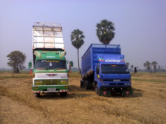 ขายดั้มเกษตร KM 505 117แรง ขายดั้มเกษตร KM 505 117แรง