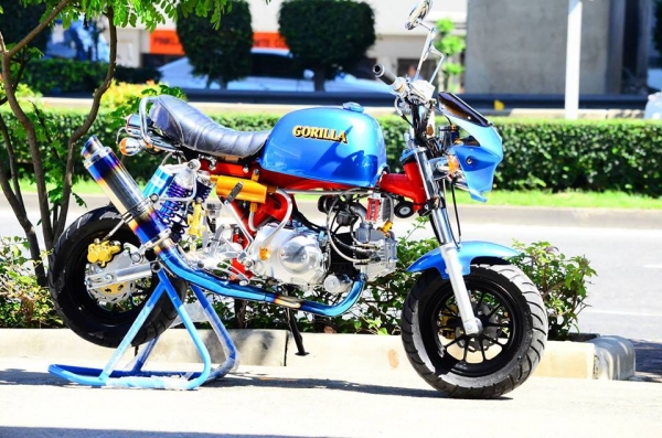 มังกี้ กอลิล่า เดิม ราคาสุดๆ เริ่มต้นเพียง 2XXXX  แต่งๆๆ ลดราคาทุกรุ่นและมีของแถมอีกมากมาย  ด่วนๆๆ ลดๆๆ   เริ่มต้นราคา ที 22999