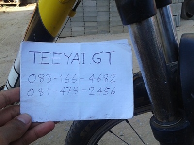 เสือภูเขา gt avalance 2.0