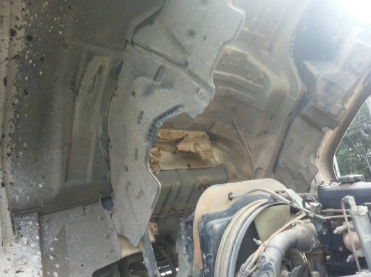 ต้องการขายสิบล้อแม่ลูก 270 ปี49