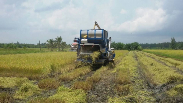 ขายด่วนรถเกี่ยวข้าว"อำนวยการช่าง" แบบอุ้ม 750,000 บาท ครับ