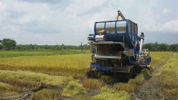 ขายด่วนรถเกี่ยวข้าว"อำนวยการช่าง" แบบอุ้ม 750,000 บาท ครับ