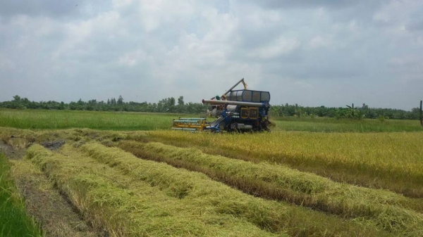 ขายด่วนรถเกี่ยวข้าว"อำนวยการช่าง" แบบอุ้ม 750,000 บาท ครับ