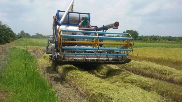 ขายด่วนรถเกี่ยวข้าว"อำนวยการช่าง" แบบอุ้ม 750,000 บาท ครับ