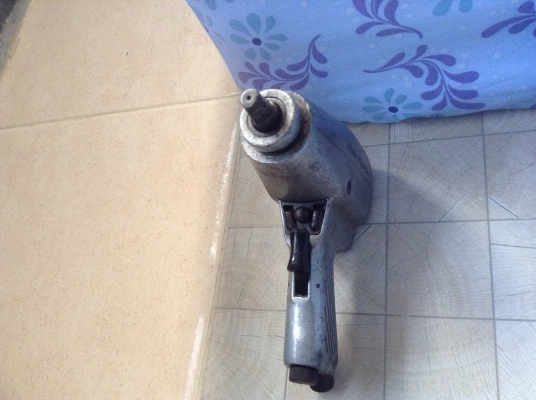 ขาย Blue point แท้  1/2. 4หุ่น