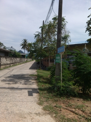 ขายบ้านเดี่ยวพร้อมที่ดิน1งาน