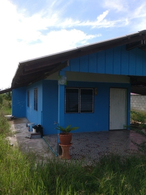 ขายบ้านเดี่ยวพร้อมที่ดิน1งาน