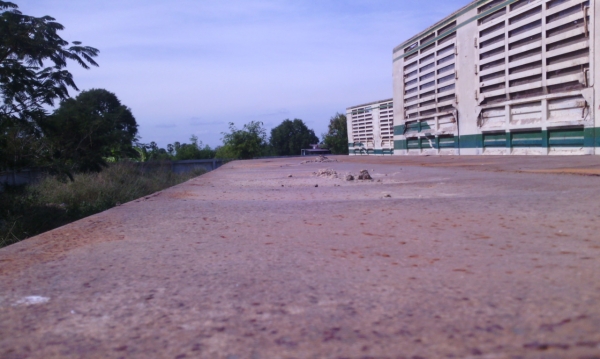 หางพื้นเรียบ 3 เพลาแท้ ยาว 12 เมตร