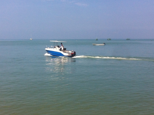 ต้องการขายเรือ 24 ฟุต