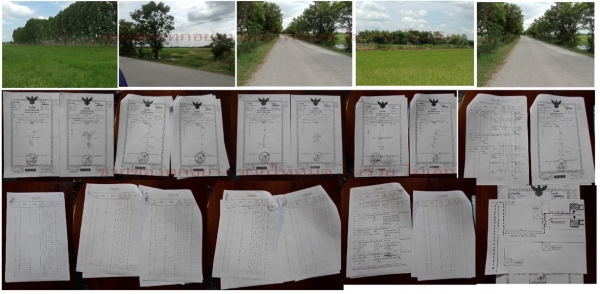 ขายที่ คู้ซ้าย หนองจอก(ถ.คู้คลองสิบ)